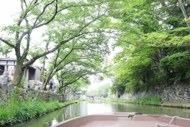 滋賀県（大津市）の未接種婚活会員様（ご入会者様）の特徴