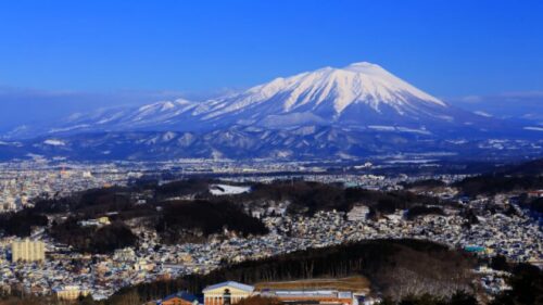 岩手県（盛岡）の未接種（非接種）婚活会員様（ご入会者様）の特徴