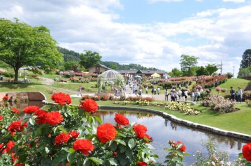 山形県の未接種（非接種）婚活会員様（ご入会者様）の特徴